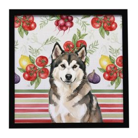 Sable and White Alaskan Malamute Vegetables Framed Metal Print Bathroom, Kitchen, Office, Home Decor Wall Art Ready to Hang, Square, 8X8